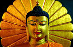 Buddhist Tour packages in india